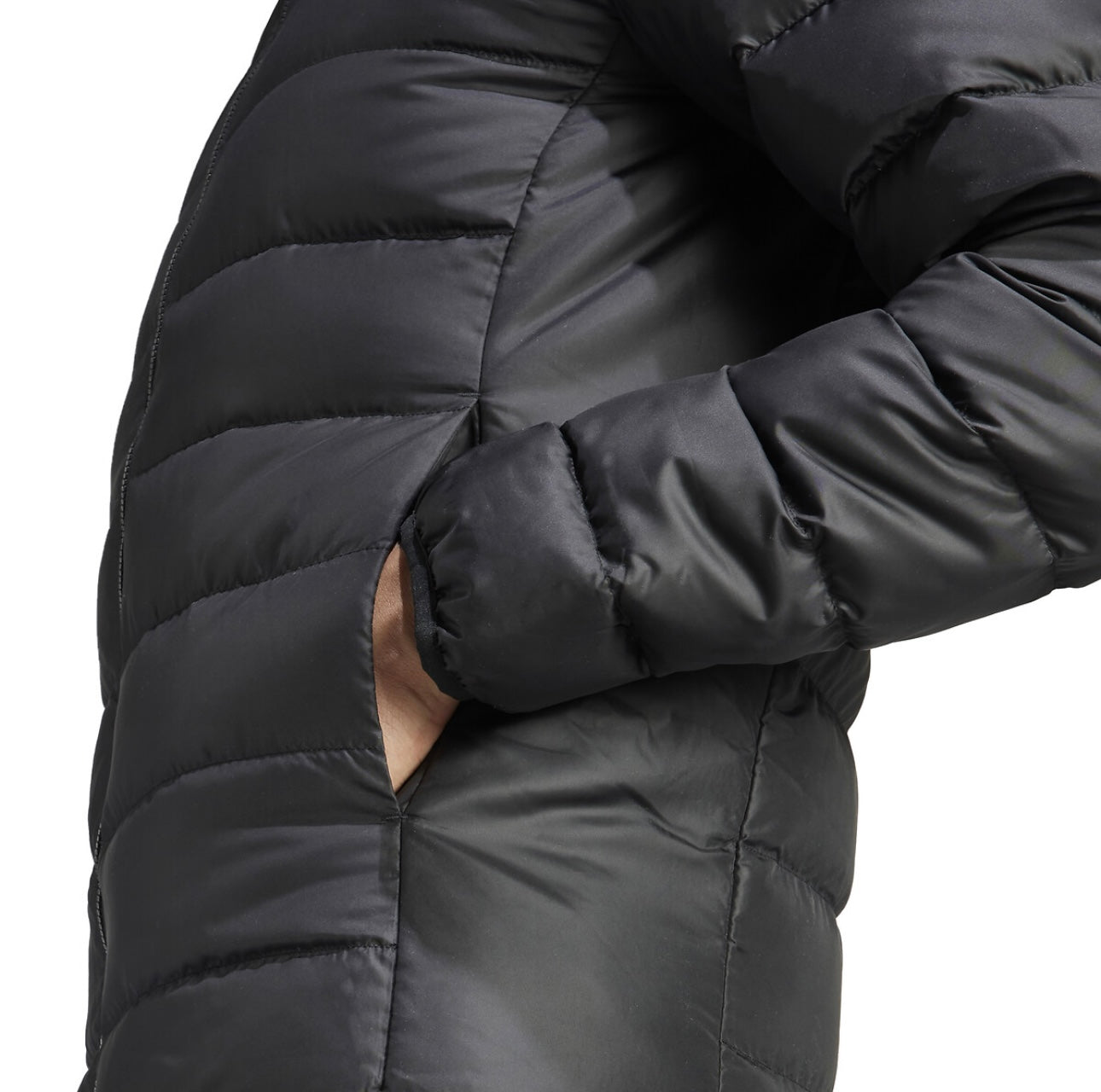 ADIDAS ORIGINALS
Padded Jacket - Black